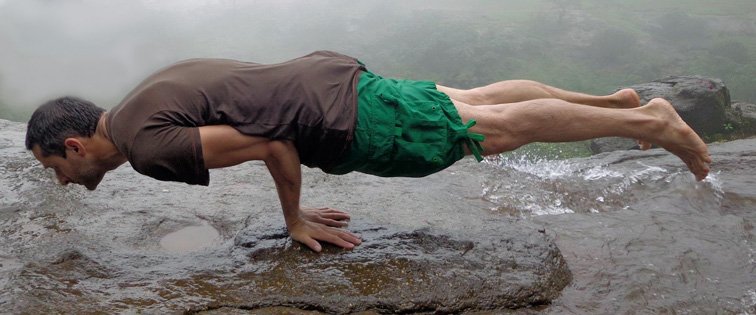 yogi